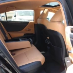 Lexus ES300 Hybrid 2.5L V4 2022 Model Year Black Color