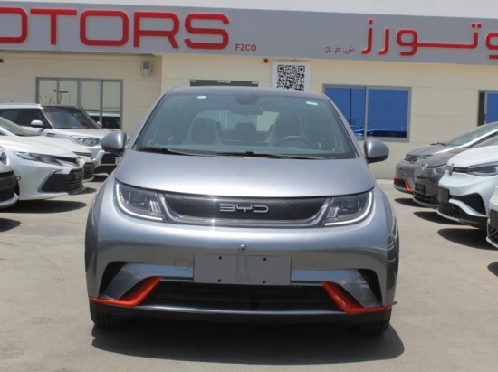 BYD Dolphine 2023 gray